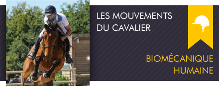 Equimouv Le Mouvement En Sport Equestre